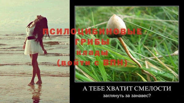 таблы Верея