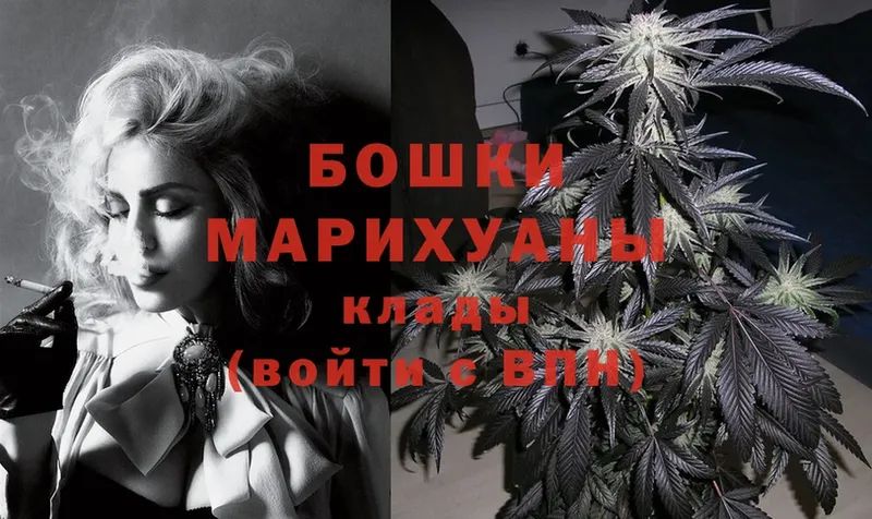 Каннабис Ganja  Бирюч 